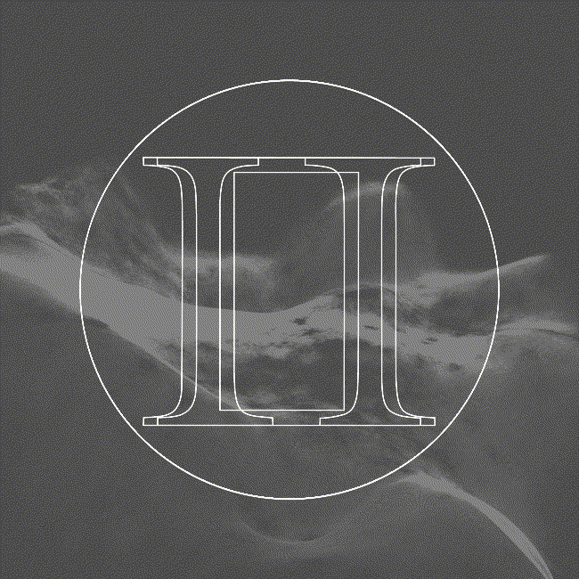 POLAR INERTIA logo